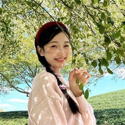 特工维诺德