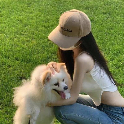 双姝夺婿
