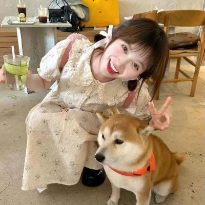 紫禁秘录